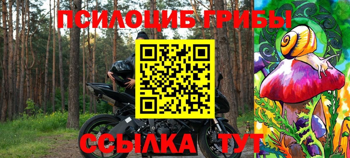 Галлюциногенные грибы Psilocybine cubensis  Псилоцибиновые грибы прущие грибы  Ливны  Вход с VPN 